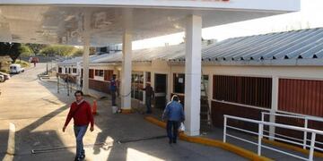 Un Pitbull mordió en la cara a un joven en Valle Viejo (Foto: Archivo/El Ancasti)