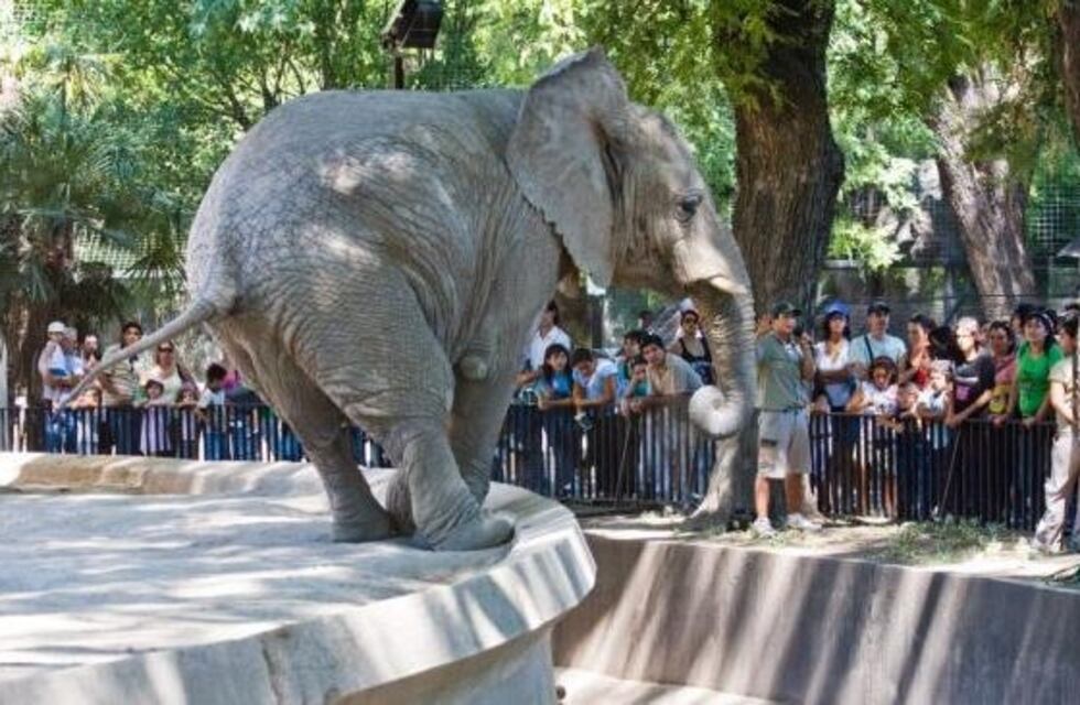 Denuncian al zoo porteño por la muerte de animales