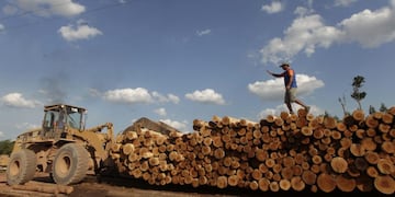 tablones tablas madera aserradero aserraderos\r\n\r\n\r\nADVANCE FOR USE SUNDAY, DEC\u002E 11, 2011 AND THEREAFTER - In this Sept\u002E 20, 2011 photo, a front-end loader moves legal timber harvested from a managed forestry area for use in the Concrem Group's wood factory in Paragominas, northern state of Para, Brazil\u002E Paragominas has become a pioneering \