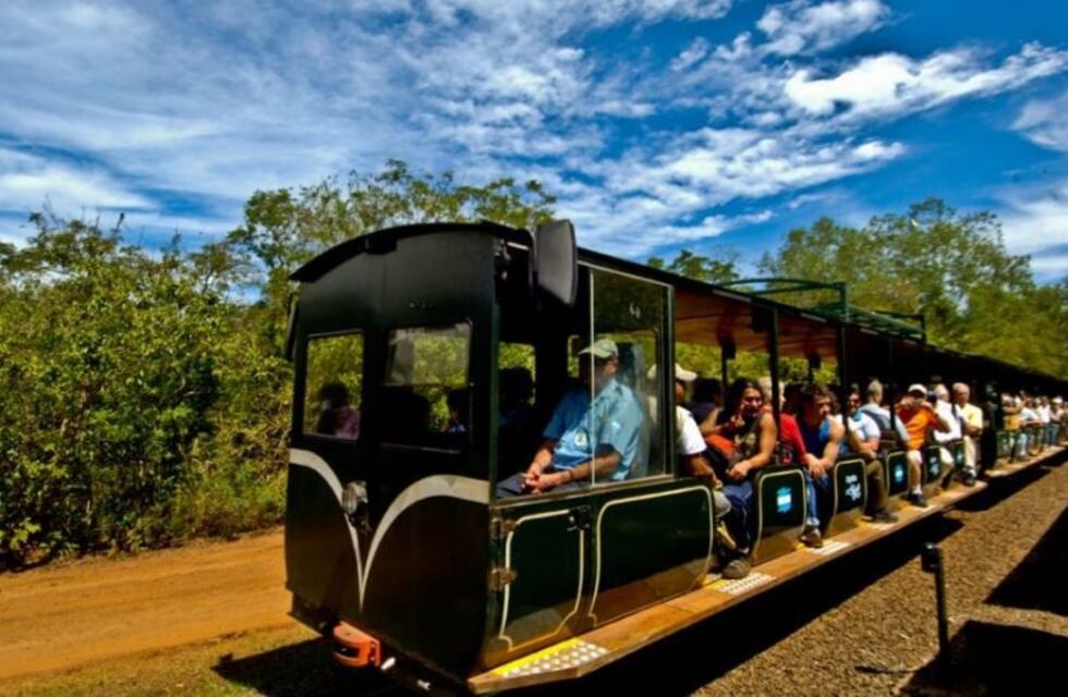 Cazadores de ofertas y despistados: así son los viajeros argentinos