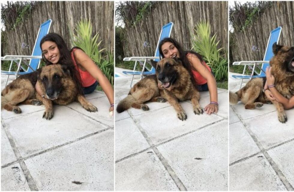 "Capaz que invadí su espacio y me atacó por eso", dijo la chica tucumana mordida por un perro