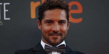 Spanish singer David Bisbal poses during a photocall after his arrival at the second Premios Platino Ibero-American Film Awards in Marbella, southern Spain, July 18, 2015\u002E Picture taken July 18, 2015\u002E REUTERS/Jon Nazca españa marbella David Bisbal entrega de los Premios Platino cantante