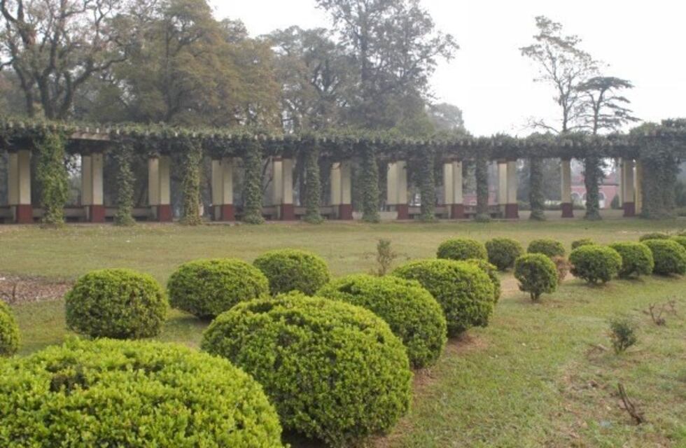 El viernes arrancará fresco pero se tornará agradable en Tucumán