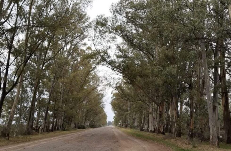 Proponen la puesta en valor del Camino del Puente Negro