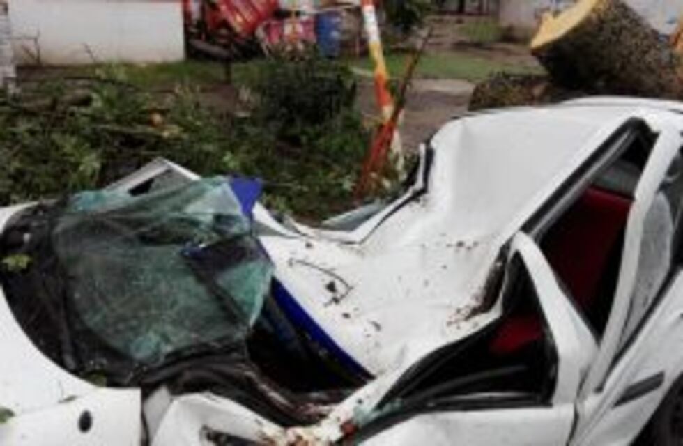 Un auto quedó aplastado por un palo borracho durante la tormenta de este domingo