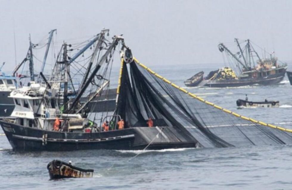 Más de 400 buques extranjeros pescan ilegalmente al límite de la Zona Económica Exclusiva Argentina