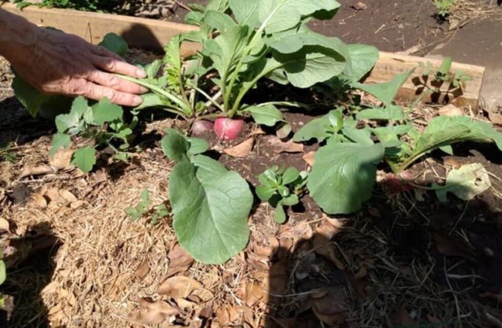 Aula Ambiental y todas sus propuestas para este verano 2020