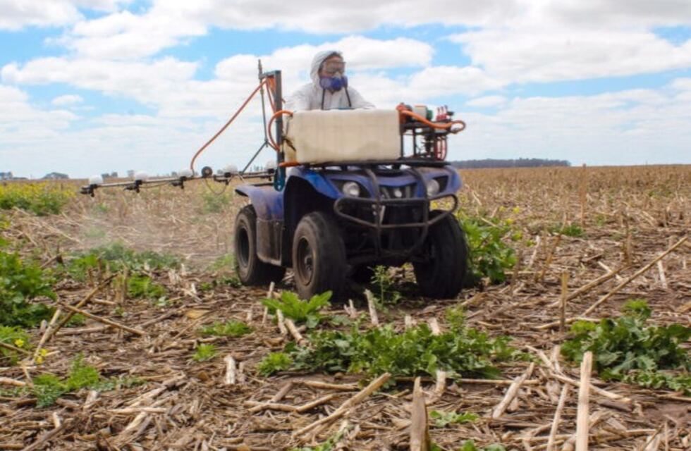 La digitalización hace punta en Expoagro con novedosas apps para el control de malezas