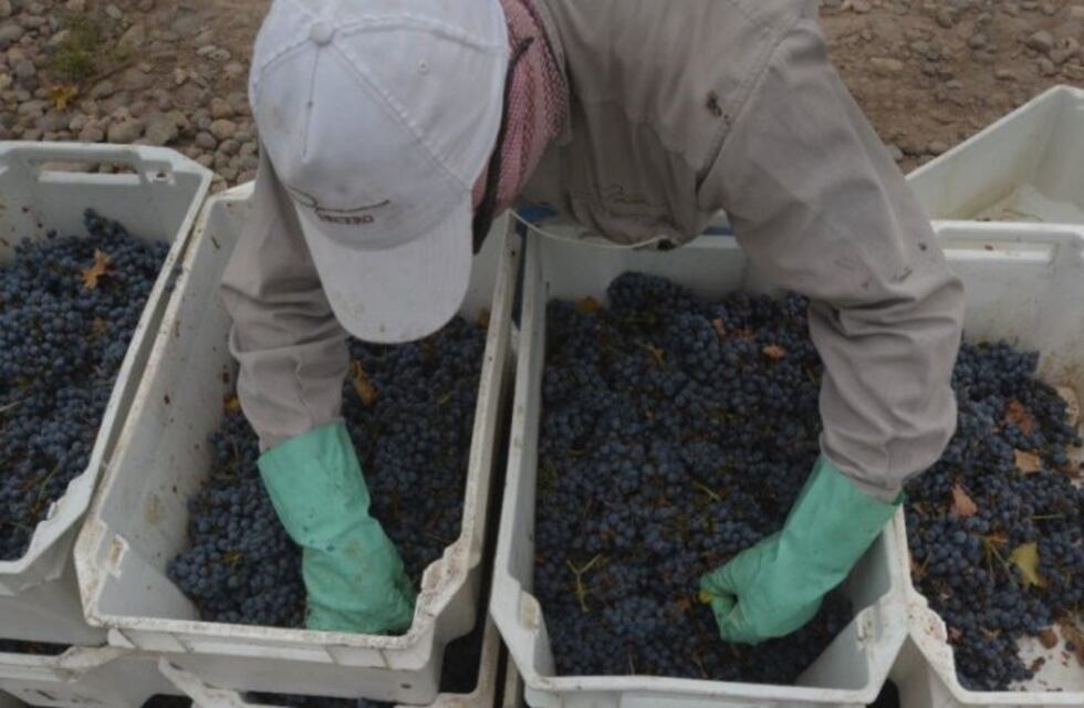 Duro documento de los viñateros para Cornejo y Macri