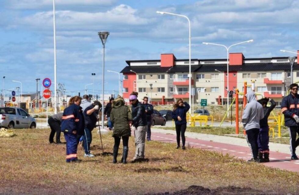 Limpieza y acondicionamiento de espacios verdes en barrio Procrear