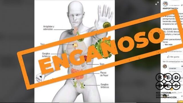 Las infusiones y nebulizaciones de distintas hierbas no curan el nuevo coronavirus\u002E (REDdes)