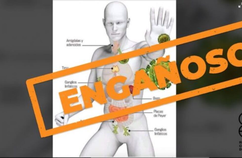 Las infusiones y nebulizaciones de distintas hierbas no curan el nuevo coronavirus