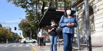 Transporte público: Habilitan viajes con pasajeros parados en horas pico (Municipalidad de La Plata)