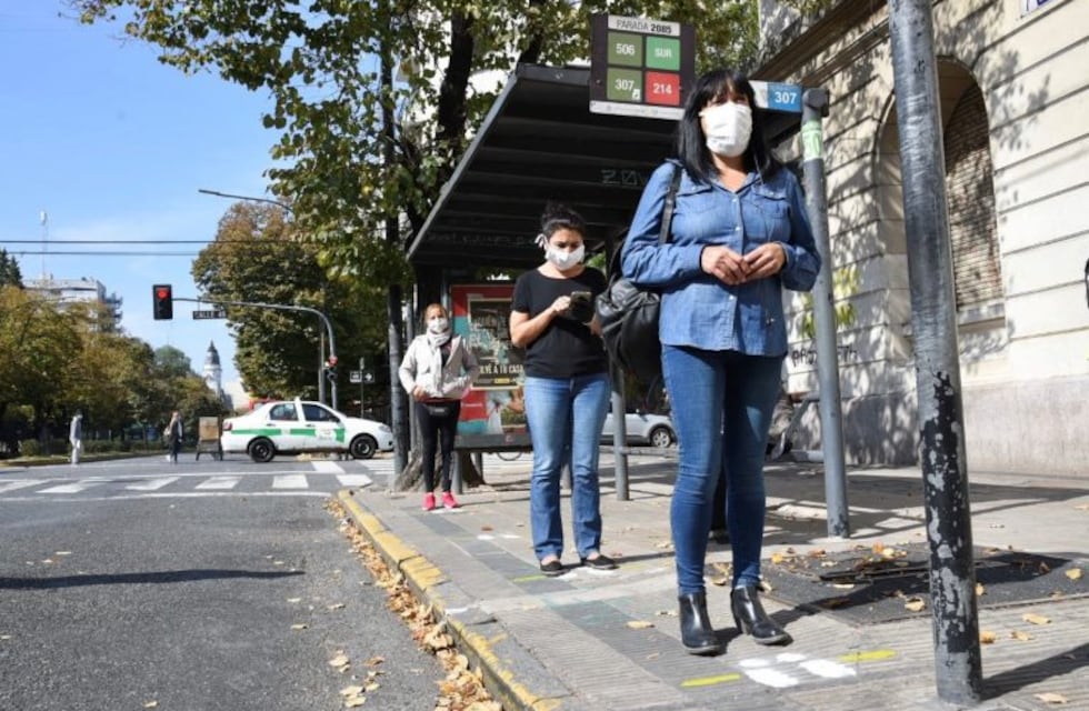 Transporte público en La Plata: habilitan viajes con pasajeros parados en horas pico