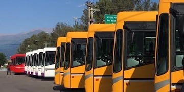 colectivos de Jujuy