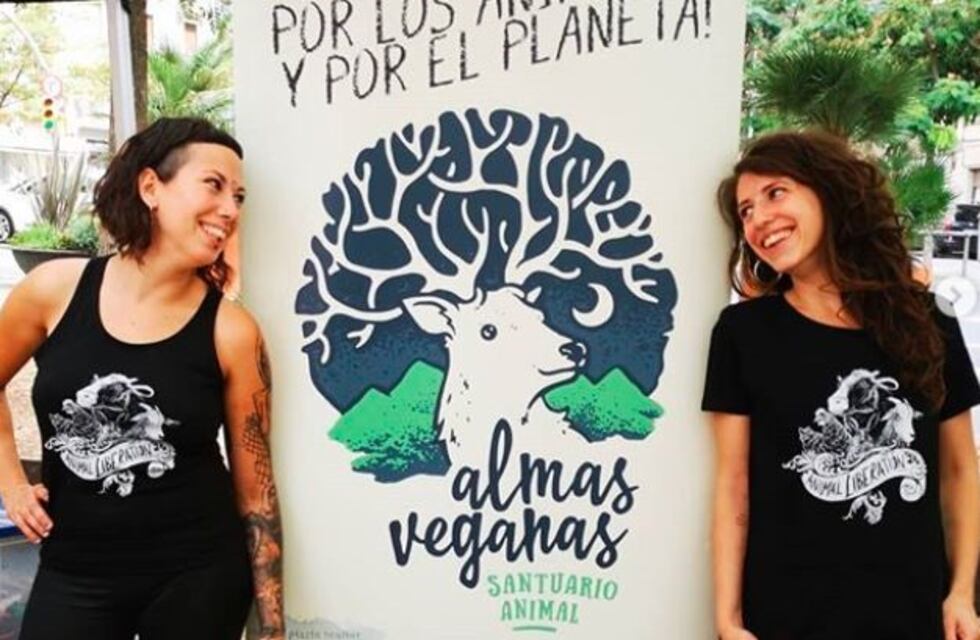 Un "santuario animal" de veganos separa a las gallinas de los gallos para que no sufran abusos