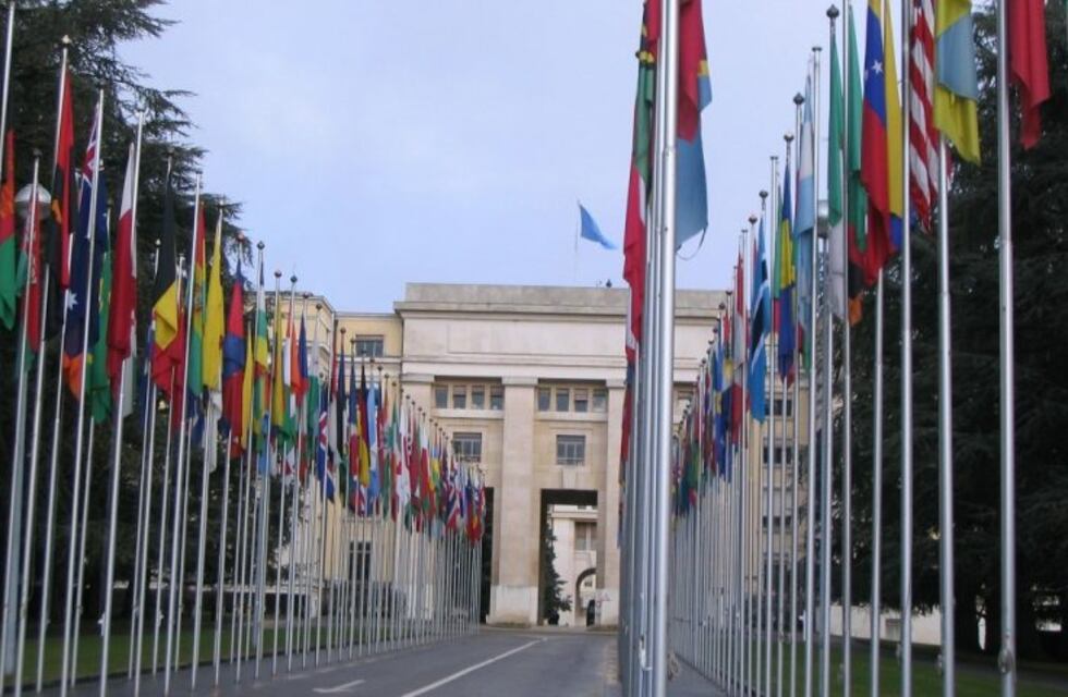 Representante riojana disertará en una Webinar de la ONU