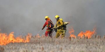 Bomberos y brigadistas pampeanos al Amazonas (Pampadiario)