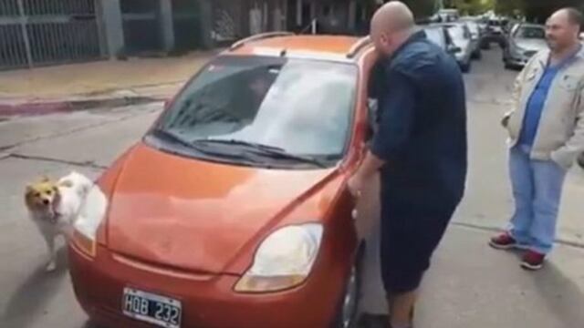 Quisieron abandonar a un perro en La Plata