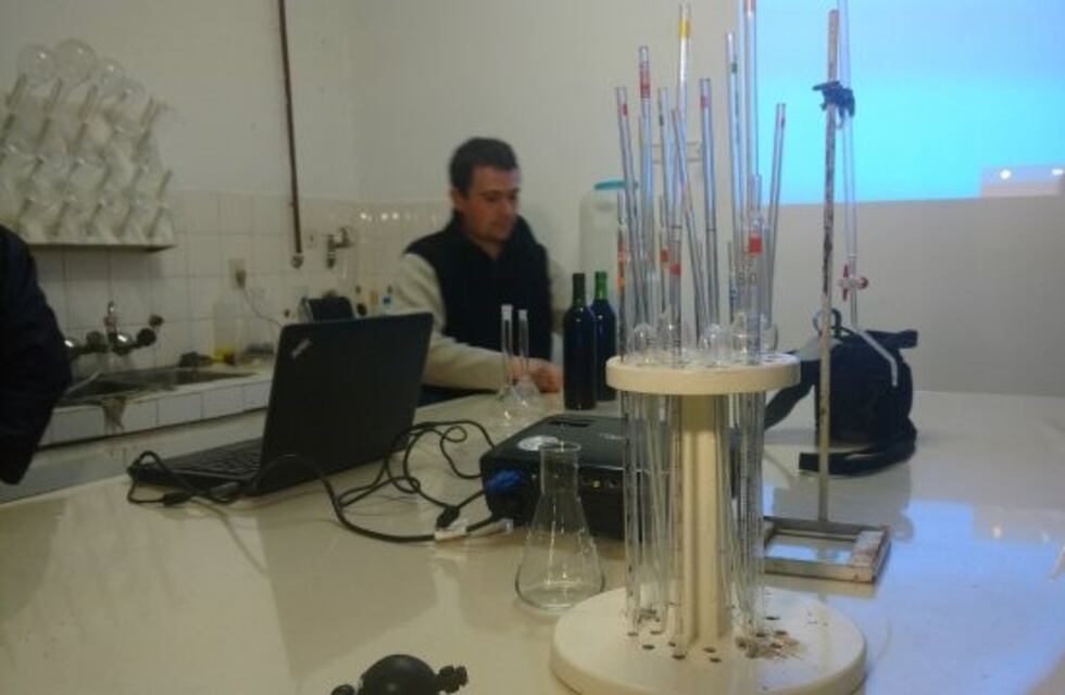 Se inaugura laboratorio en San Rafael para mejorar vinos locales