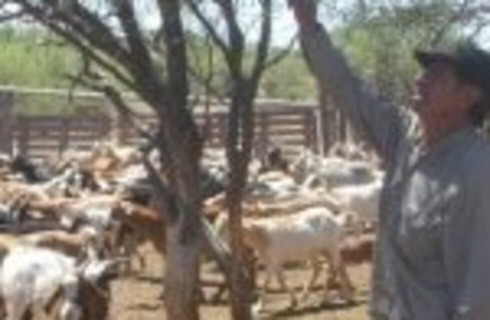 Huarpes reclaman 780 mil hectáreas en Lavalle