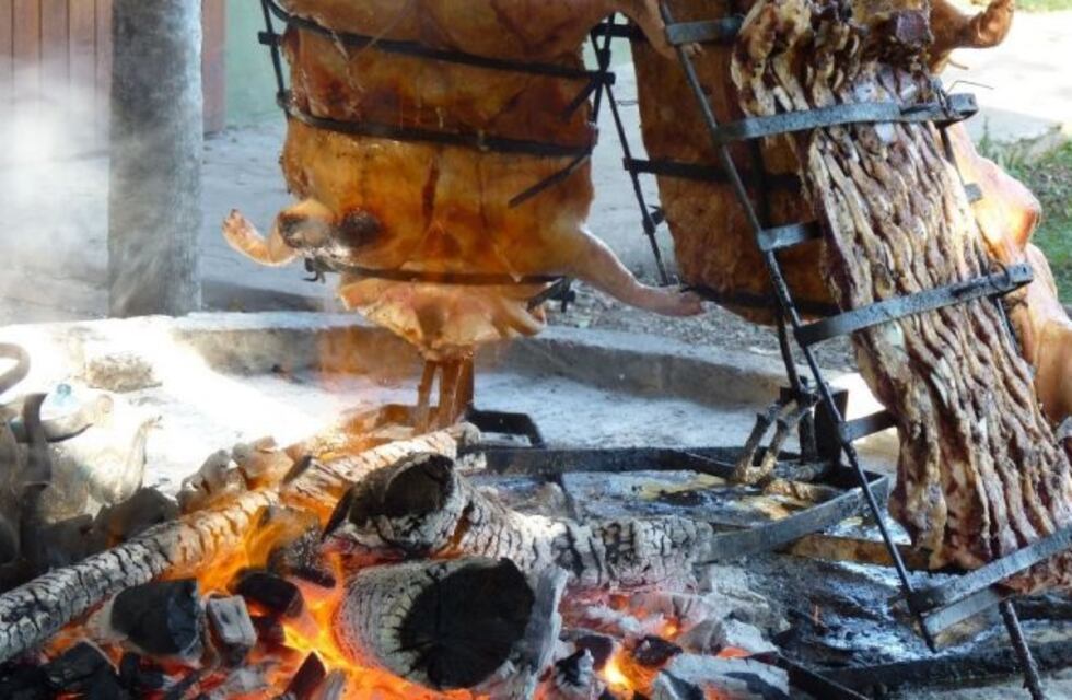 Misiones: el precio del ganado supera al de exportación