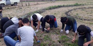 Huerta Programa Envión