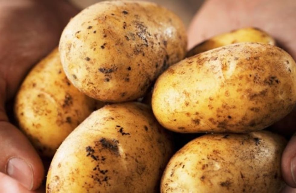 Desmontando mitos: comer papa todos los días trae beneficios
