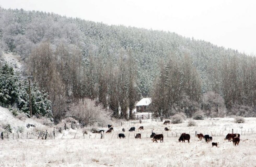 Lluvia, viento y nieve en Neuquén y Río Negro por un frente frío