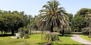 bioparque la maxima Imagen ilustrtiva de Posadas