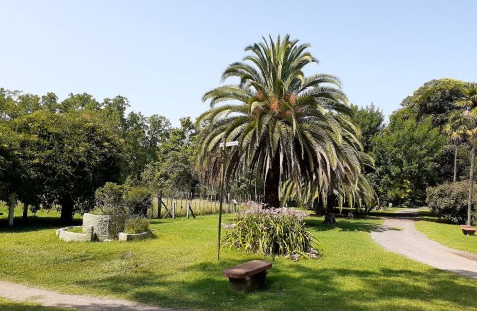 Ya preparan estudios previos en barrios junto al Bioparque del Zaimán que impulsó Carlos Rovira