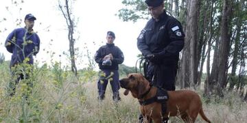 Sumaron perros a la búsqueda de Candelaria en Roca