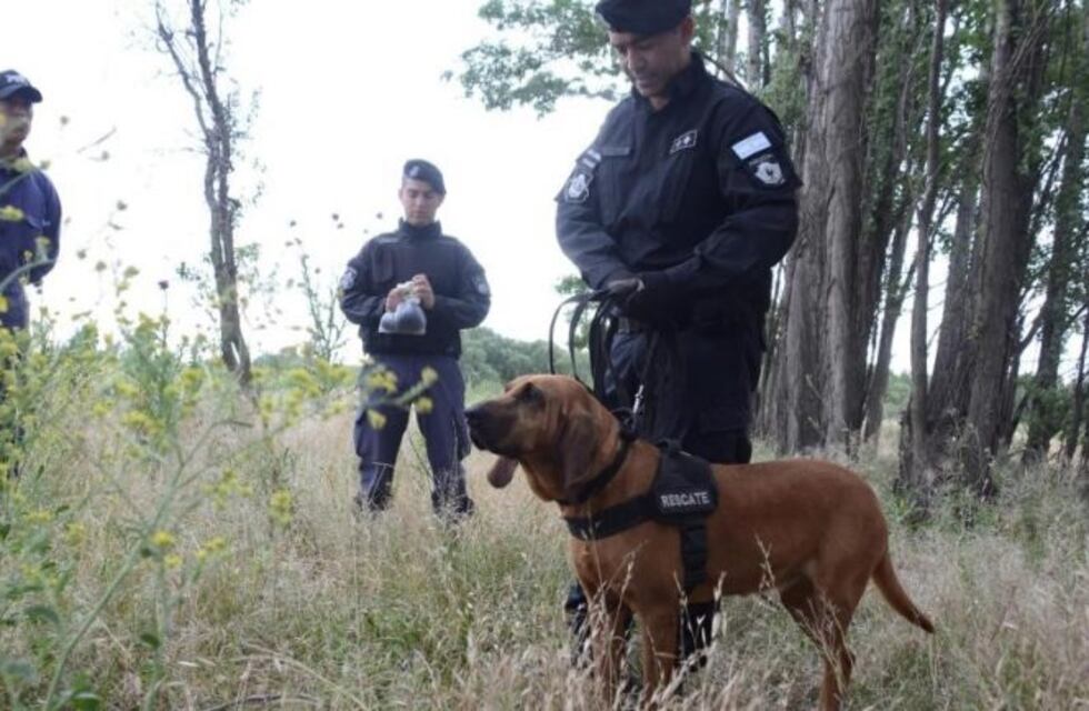 Sumaron perros a la búsqueda de Candelaria en Roca