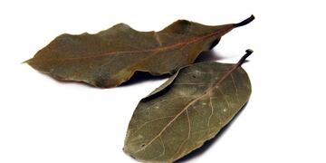 Hierbas aromáticas en tu cocina. (Foto: Archivo)