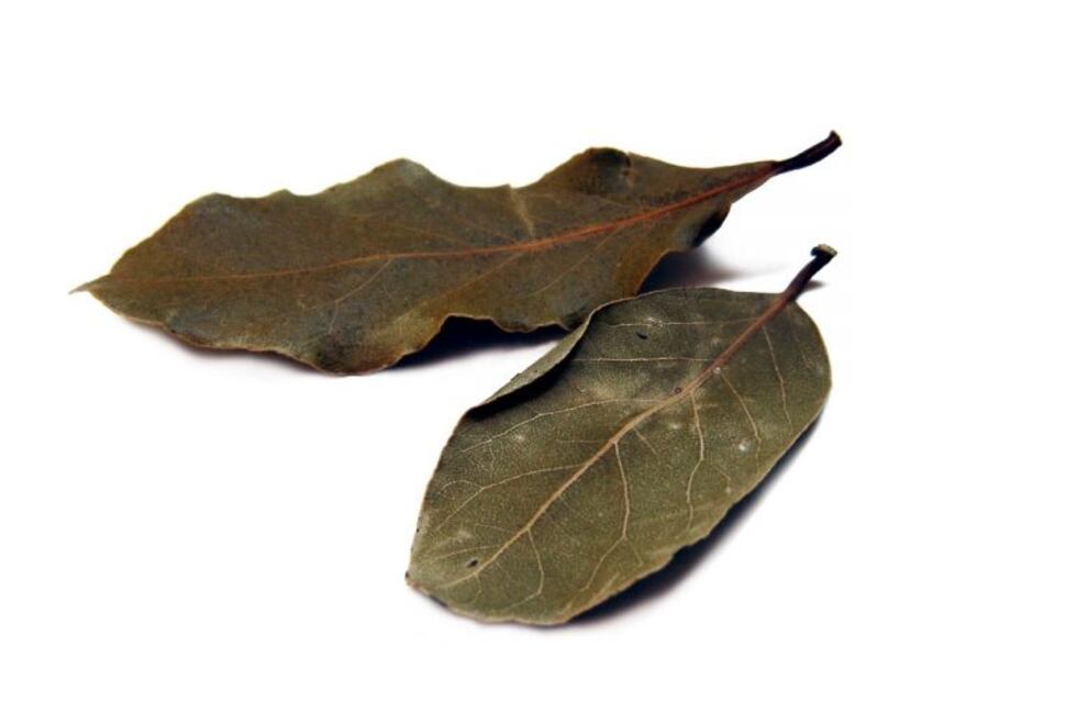 Hierbas aromáticas: cómo usarlas y combinar sabores en tus recetas