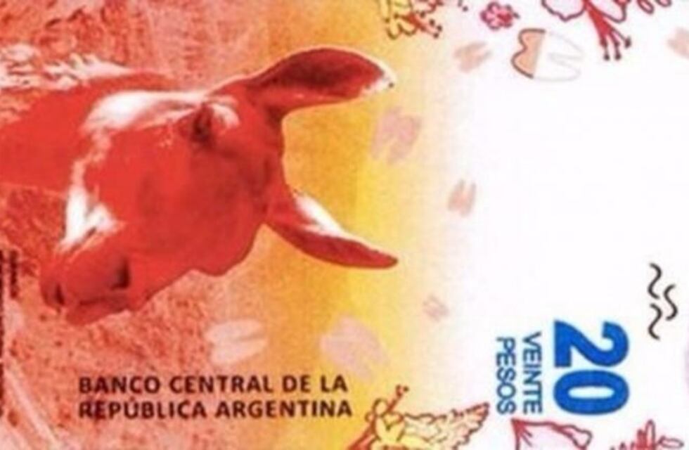 Presentaron el nuevo billete de $20, con la figura de un guanaco