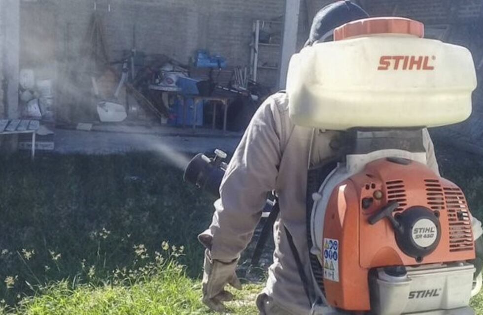 Realizan operativos casa por casa contra el dengue