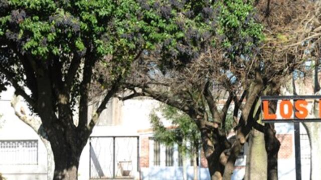 Hombre detenido por divulgaciu00f3n de pornografu00eda infantil en Los Molinos