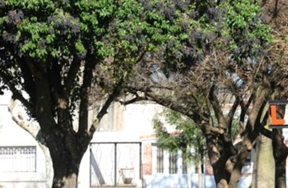 Detuvieron a un hombre de 30 años acusado de tráfico de pornografía infantil