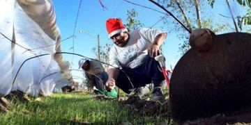 Programa Pro Huerta TDF