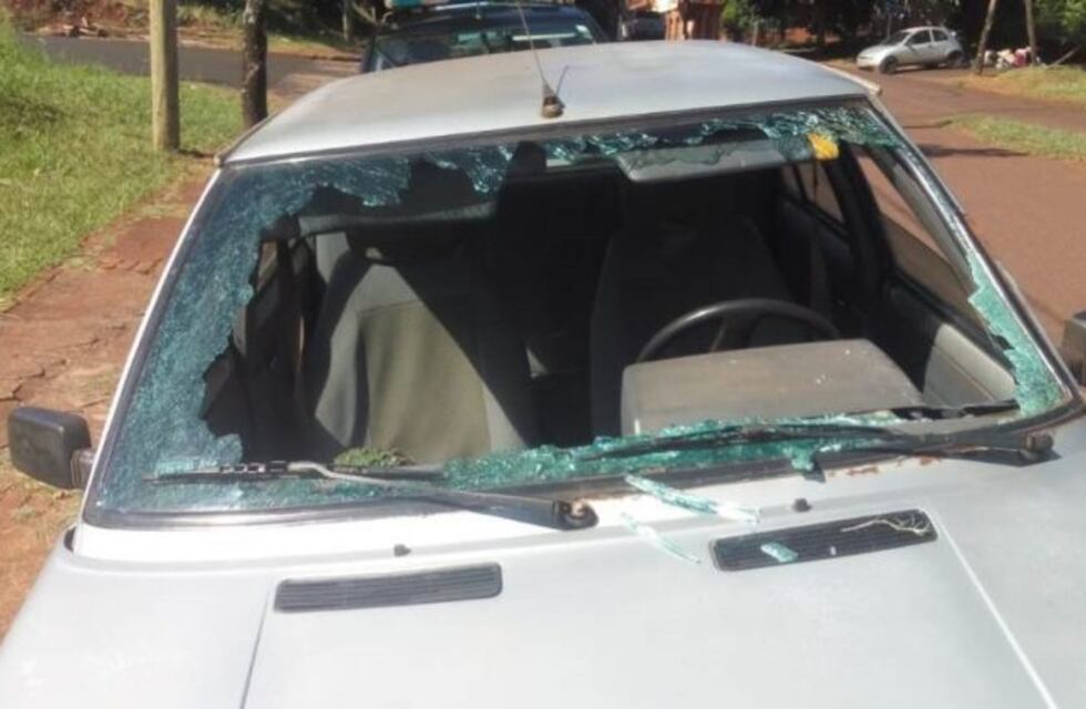 Alem: varios vehículos fueron dañados por la caída de piñas de araucaria