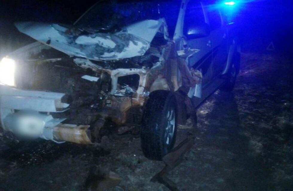 Una camioneta chocó contra un caballo en Jardín América