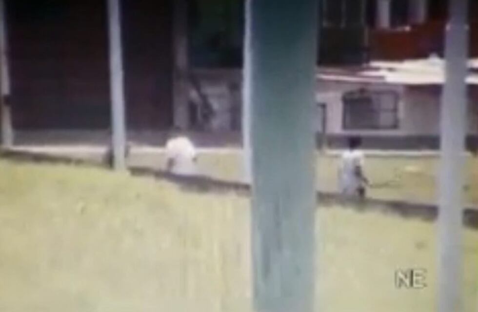 Quedó grabado el momento en que atropellan y matan a un presunto ladrón