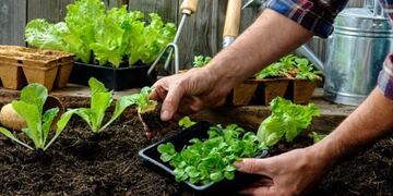 huerta