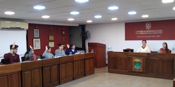 Parlamento Juvenil de Carlos Paz\u002E (Foto: archivo)\u002E