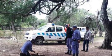 El puma fue trasladado a la reserva natural de Guaycolec