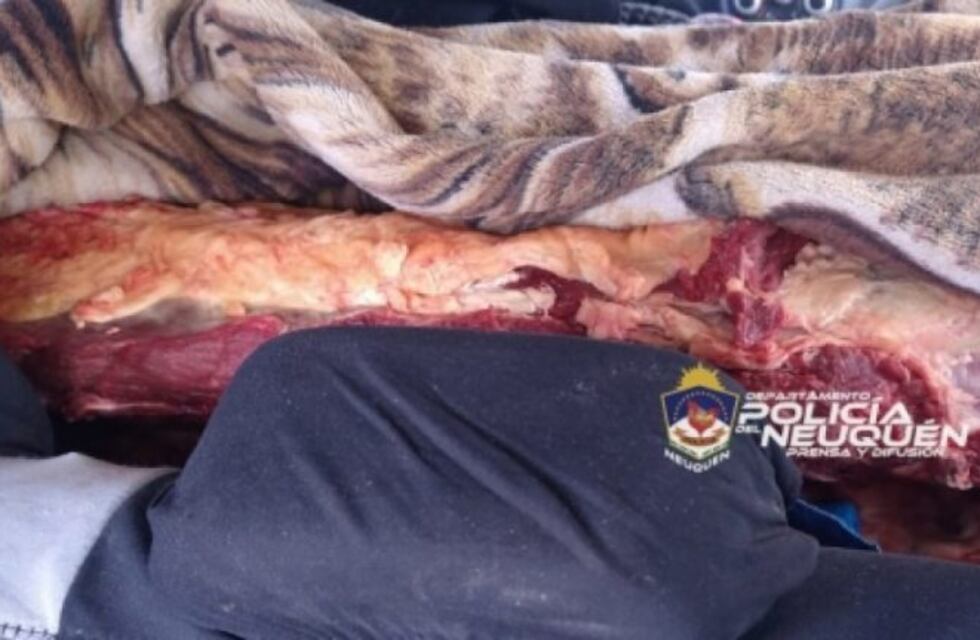 Decomisaron 100 kilos de carne en un ingreso a Neuquén