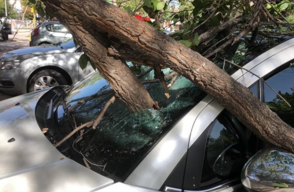 La municipalidad de Neuquén recibió 300 llamados a causa del temporal