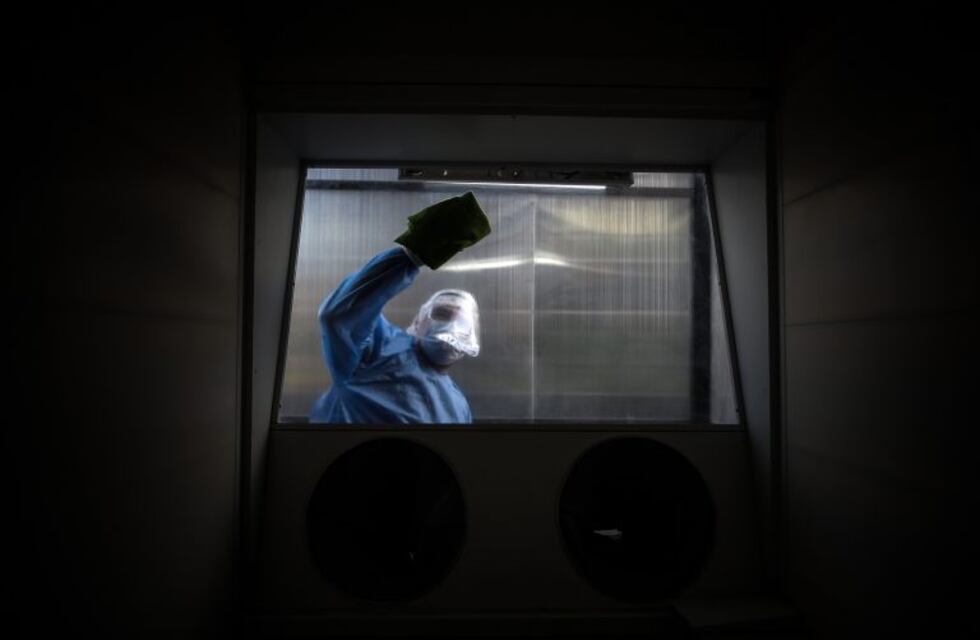 Coronavirus en Argentina: 262 muertes y 8.468 nuevos casos en las últimas 24 horas