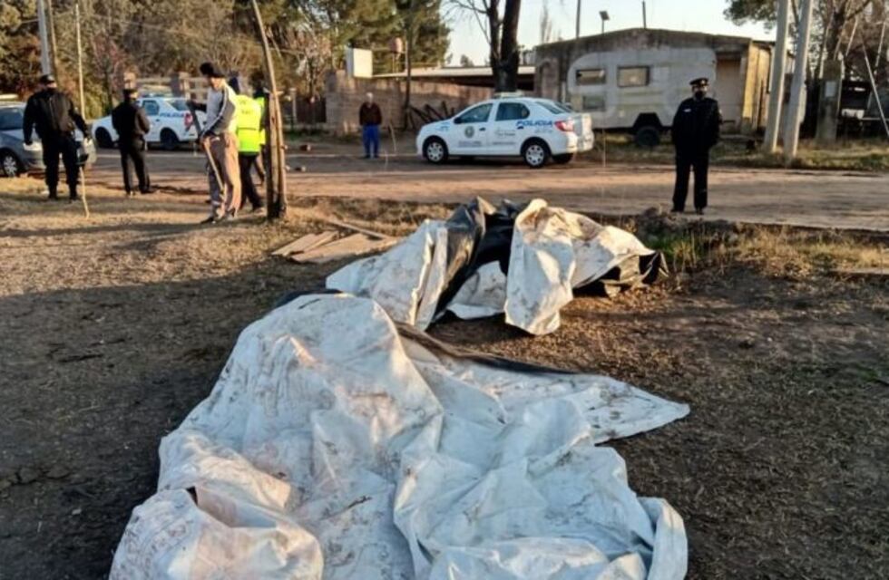 Vandalismo en el campo: robaron soja cerca de Buchardo y hay tres detenidos